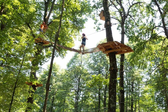 Adult Daily ticket for Adventure Park in Gravedona - Courses for Every Skill Level: From Little Kids to Big Heights