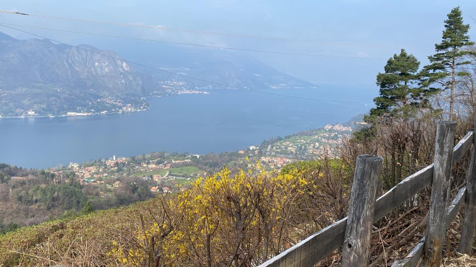 Bellagio: Exclusive picnic at the agrofarm with scenic view - Bellagio Picnic Above the Water: Why This Feels Different