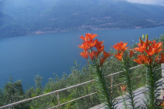 Bellagio, the pearl of lake Como. The village and the surrounding area - Stop 3: The Basilica of St. Giacomo plus free time to eat well