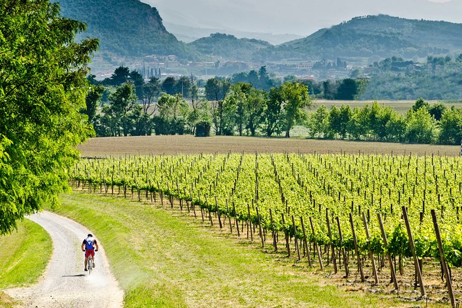 Bergamo and Franciacorta with lunch and cellar visit - Key points before you go