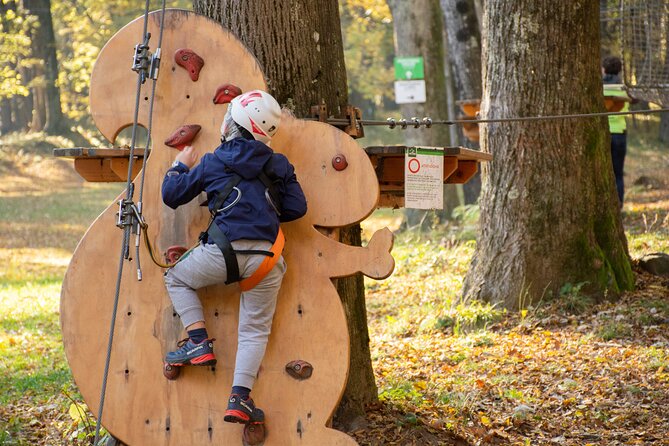 Children Daily Ticket for Adventure Park in Gravedona - Weather and day-of flexibility: the big practical constraint