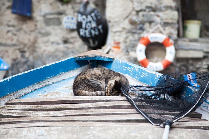 Cinque Terre Day Trip from Milan: Italian Riviera Escape - Parco Nazionale Cinque Terre: the short nature stop that helps you connect it all