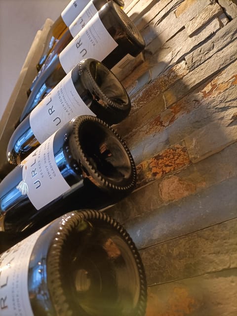 Como: Wine Tasting Experience with Cheese and Cold Cuts - Private tasting: when exclusivity turns into real attention