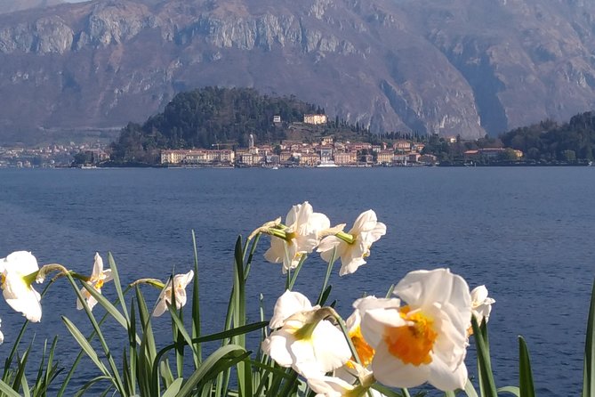 Day tour from Milan: Lake Como & Bellagio Cruise- Semi private - Small group size and semi-private energy