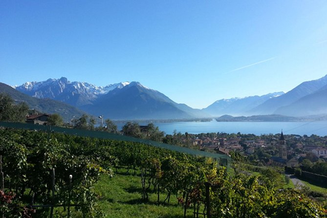 Domaso: Wine Tasting at the Winery on Como Lake - Entering The Domaso Winery Experience (Where the afternoon starts)