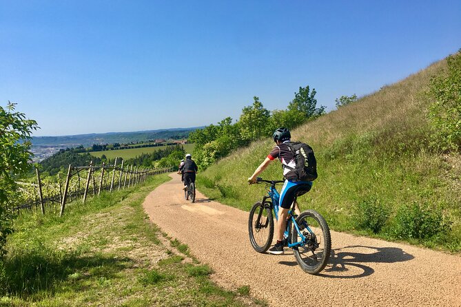 E-Bike Tour with Wine Tasting from Salò - Key highlights at a glance