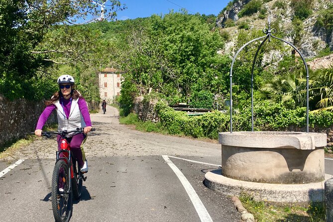 E-Bike Tour with Wine Tasting from Salò - Polpenazze and the slow change from vineyards to water