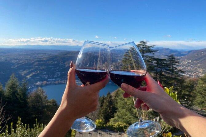 Exclusive wine tasting in Brunate - Key highlights you’ll actually care about