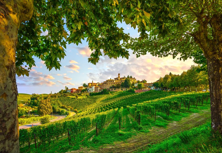 From Milan: Barolo Wine Tasting, Alba Tour and Castle Visit - From Milan to Langhe: why the drive time matters