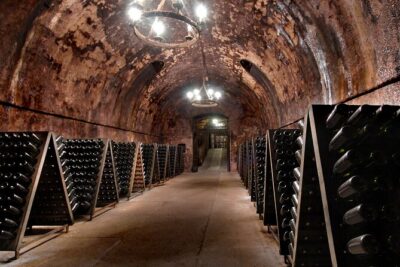 From Milan Full Day in Franciacorta 2 Wineries and Lunch - Lunch near Lake Iseo: the break that doesn’t feel like a detour