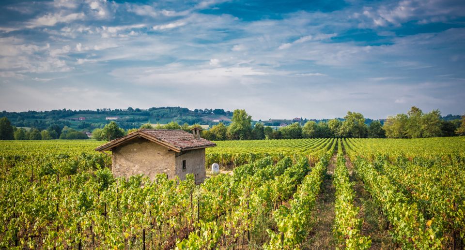 From Milan: Full Day in Franciacorta. 2 Wineries & Lunch - Key highlights (what you’ll remember)