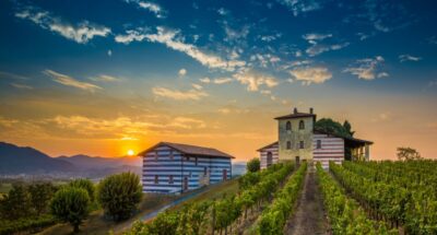 From Milan: Full Day in Franciacorta. 2 Wineries & Lunch - Stop 1 at Ronco Calino: terroir lessons plus a guided tasting