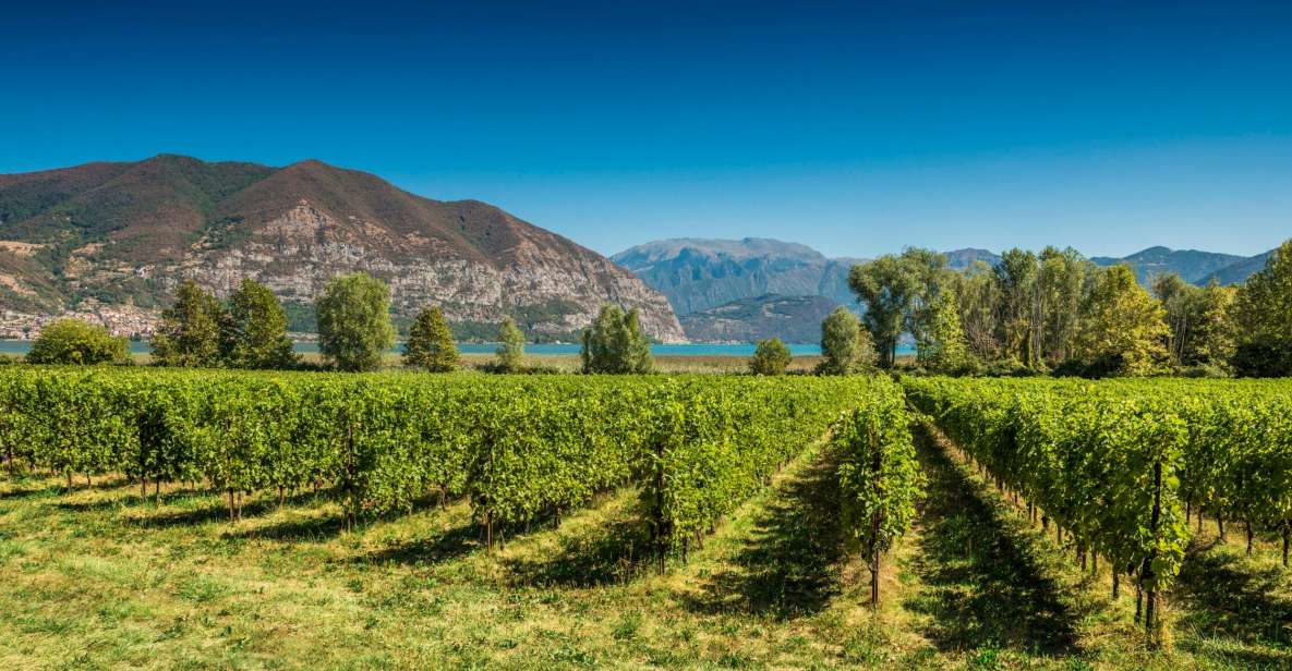 From Milan: Full Day in Franciacorta. 2 Wineries & Lunch - What you’re really tasting in Franciacorta (and how to judge it)