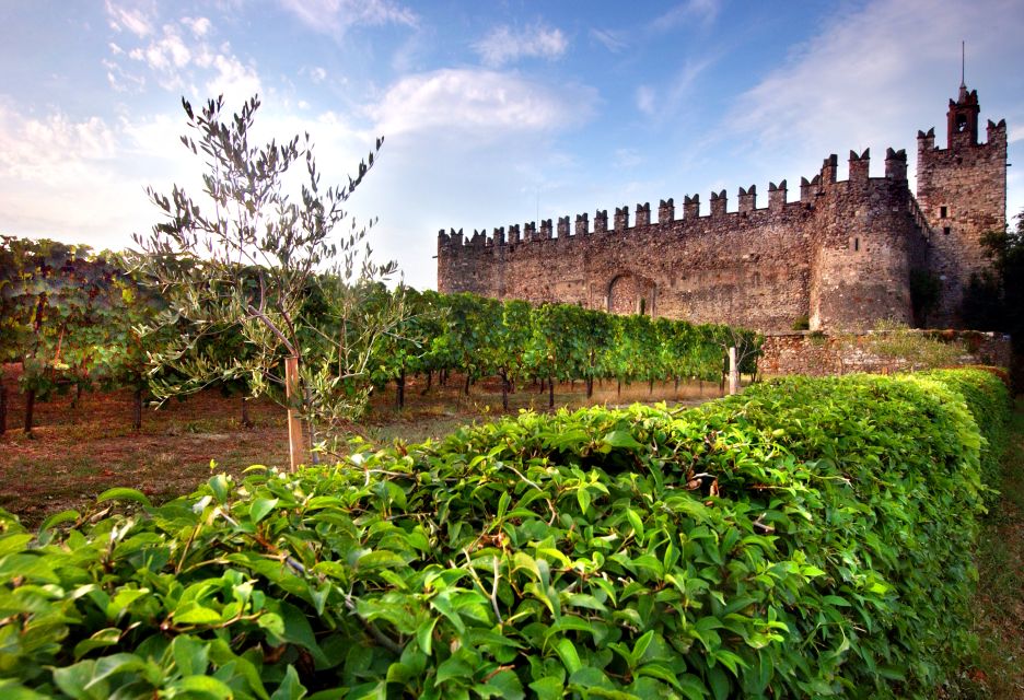 From Milan: Full Day in Franciacorta. 2 Wineries & Lunch - Price and value: why $373.84 can work for a full wine day