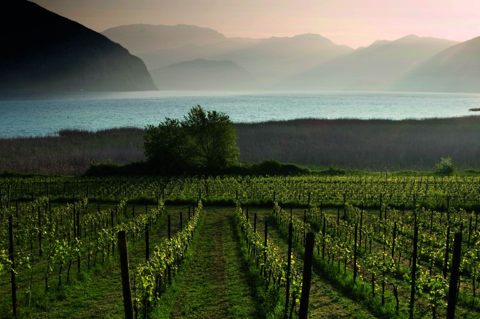 From Milan: Full Day in Franciacorta. 2 Wineries & Lunch - Should you book the Milan–Franciacorta day trip?