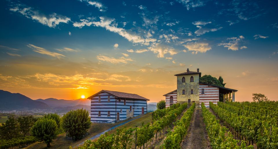 From Milan: Full Day in Franciacorta. 2 Wineries & Lunch - Stop 1 at Ronco Calino: terroir lessons plus a guided tasting