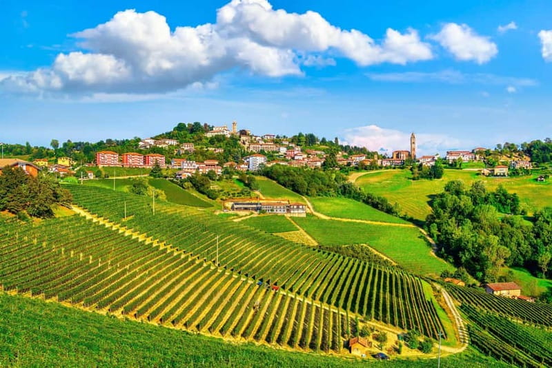 From Milan: Langhe Wine Region Day Trip with Barolo Tasting - Your season decides: Barolo in warm months, Alba in colder ones