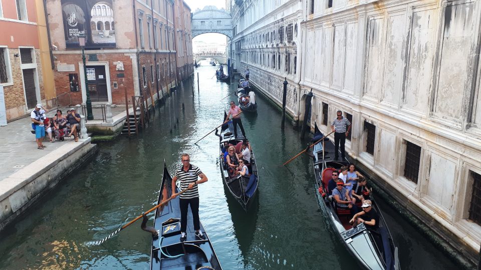 From Milan: Venice City Highlights Guided Day Trip - Milan-to-Venice: a full day that stays organized