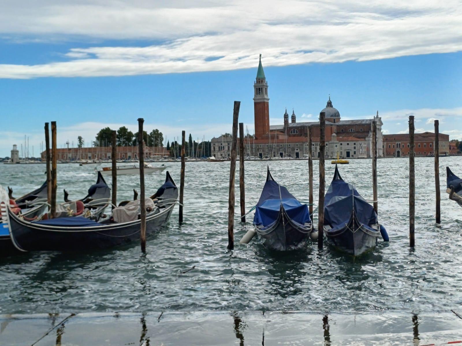 From Milan: Venice City Highlights Guided Day Trip - St. Mark’s area: what the guide helps you actually notice