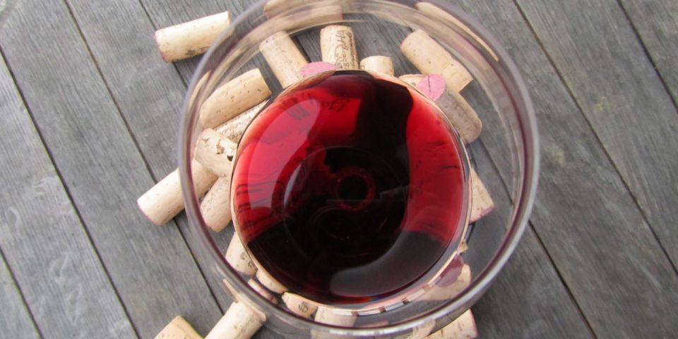 Full-Day Barbaresco Wine Tour with Truffle Hunting and Lunch - Truffle hunting in Alba woods: what you learn, what you do