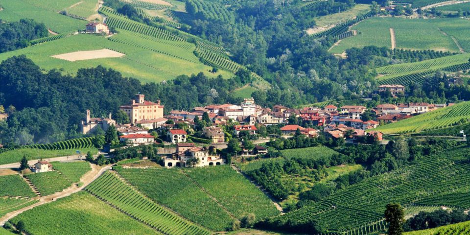 Full-Day Barbaresco Wine Tour with Truffle Hunting and Lunch - After the hunt: truffle snacks and how the flavors carry forward