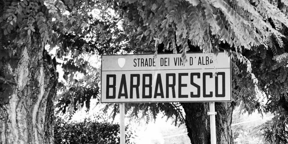 Full-Day Barbaresco Wine Tour with Truffle Hunting and Lunch - Private chauffeur from Turin: comfort, time, and pacing reality