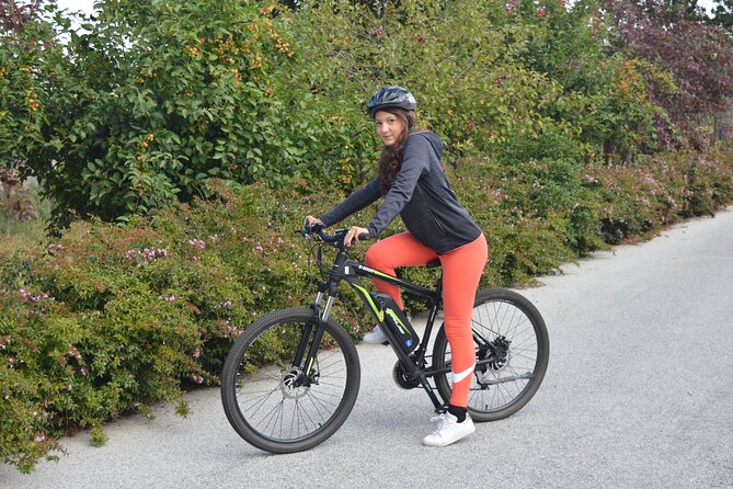 Guided e-bike tour on Lake Como - Riding the Como shore: views, Bellagio moments, and tunnel-free time