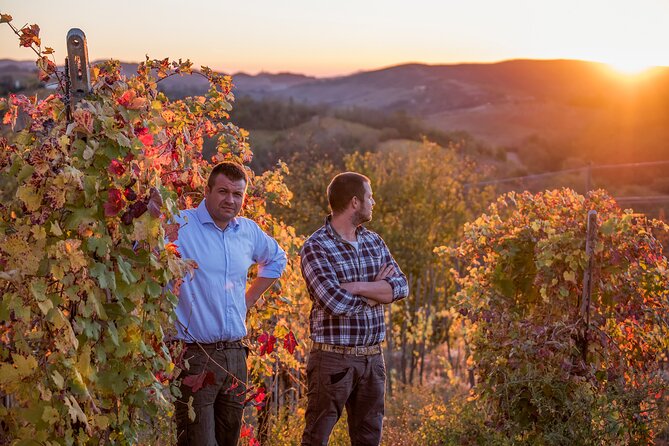 Guided tour of vineyards and winery with tasting 4 wines - Key highlights (what to look forward to)