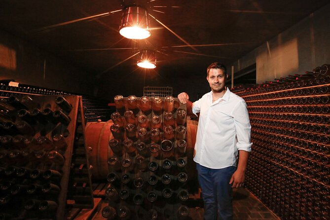 Guided tour of vineyards and winery with tasting 4 wines - Winemaking and aging cellars: where the wine gains structure