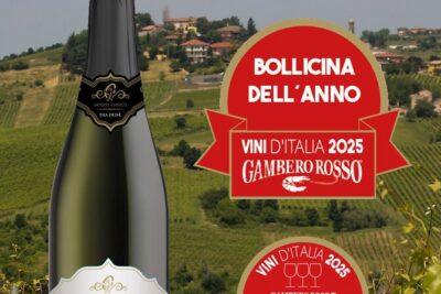 Guided tour of vineyards and winery with tasting 4 wines - Organic vineyard walk and the Via di San Colombano connection