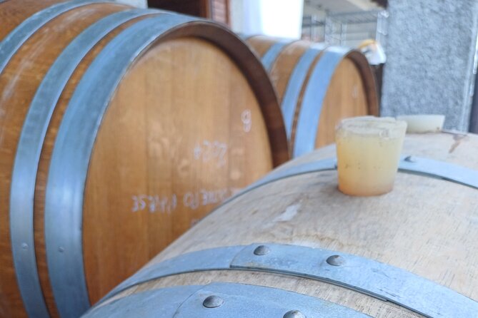 Guided tour of vineyards and winery with tasting 4 wines - Price and value: what $22.86 buys in real terms