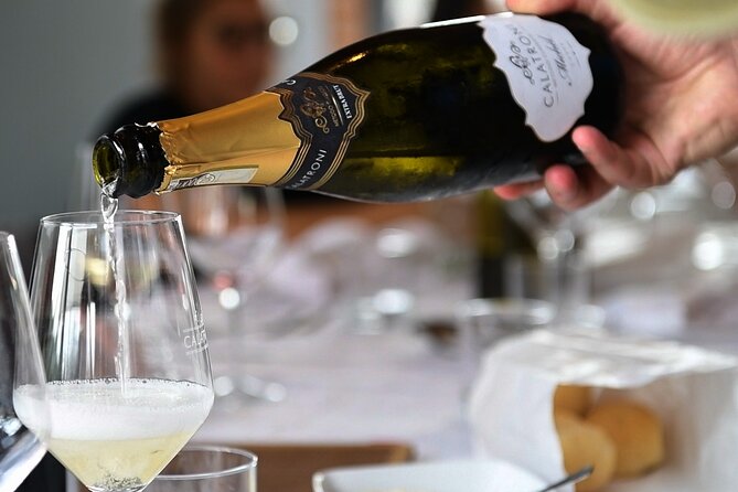 Guided tour of vineyards and winery with tasting 4 wines - Who should book this tour (and who might prefer another format)