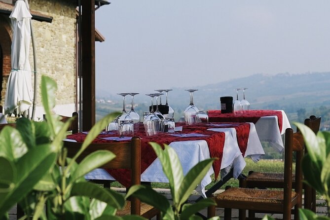 Guided tour of vineyards and winery with tasting 4 wines - Small practical notes that help your day go smoothly
