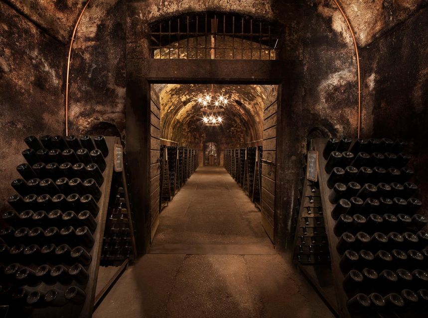 Half-Day Food and Wine Experience in Franciacorta - Key moments to know before you go