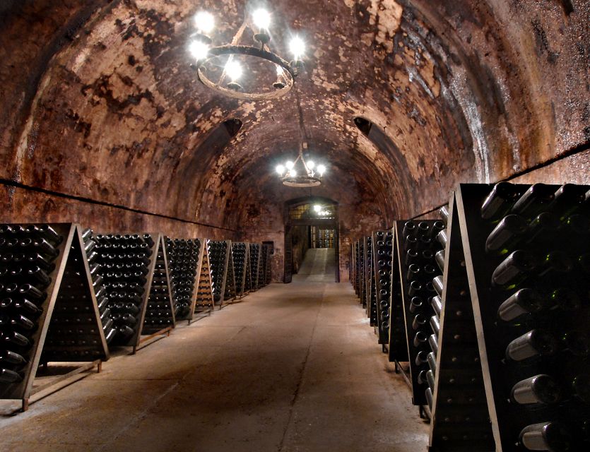 Half-Day Food and Wine Experience in Franciacorta - Franciacorta in four hours: a tight, value-focused plan