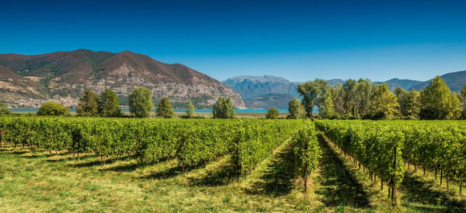 Half-Day Food and Wine Experience in Franciacorta - Who should book this half-day (and who shouldn’t)