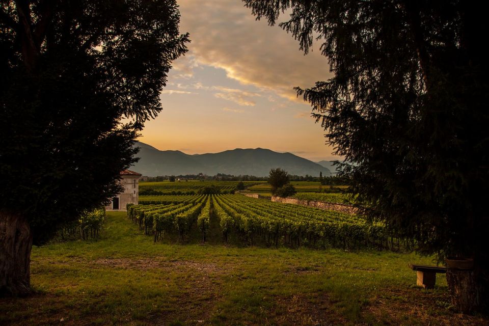 Half-Day Food and Wine Experience in Franciacorta - Quick practical tips to make the day easier