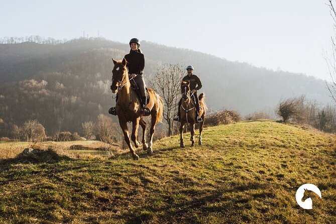 Horseback riding for experts between the lake and the mountains - Key Points at a Glance