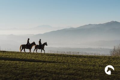 Horseback riding for experts between the lake and the mountains - Meet Martina and the Team: A Guide Makes or Breaks It