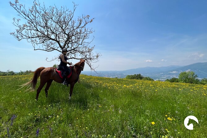 Horseback riding for experts between the lake and the mountains - Stop for Refreshments at the Farmhouse
