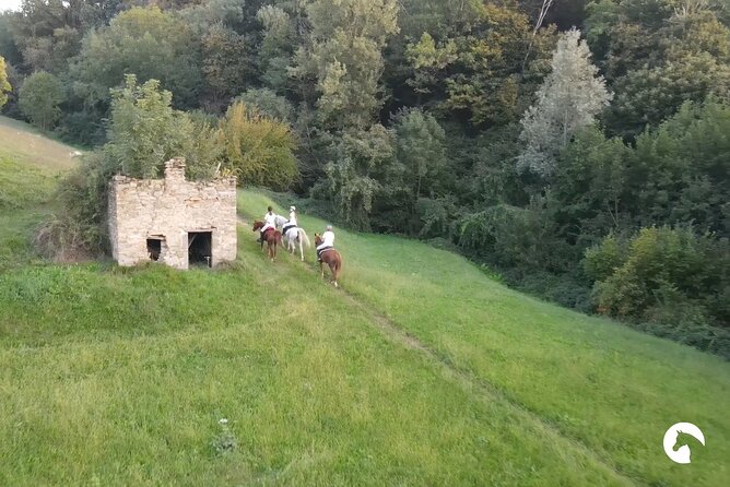 Horseback riding for experts between the lake and the mountains - Group Size, Language, and How Long 4.5 Hours Feels on the Day