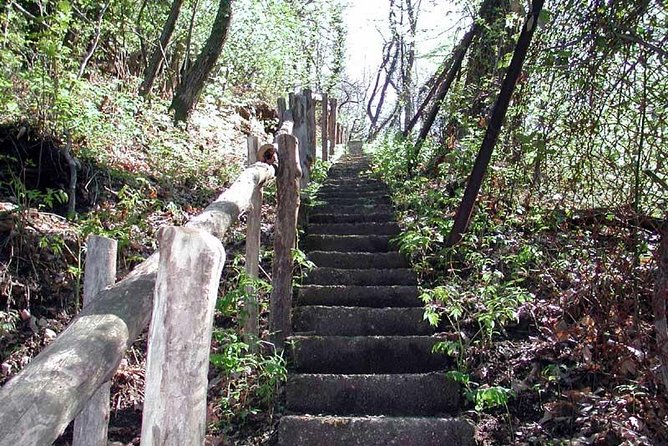 Lake Como Rebels: Adventure day in Spina Verde Regional Park - Picnic lunch with local products and wine: what to expect