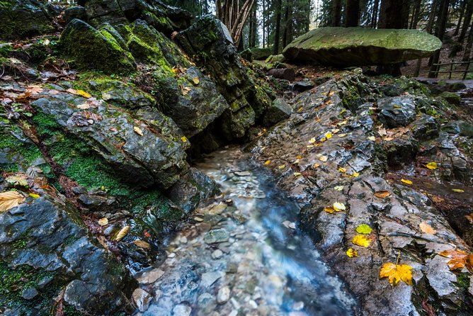 Lake Como trekking private guided tour, from Milan - Physical fitness: what moderate really means here