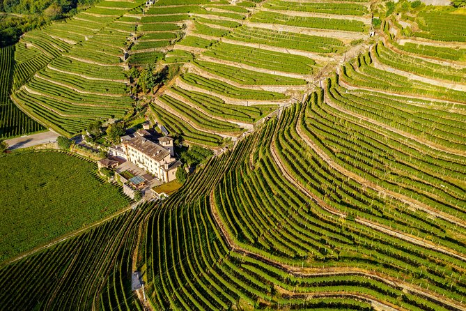 Lake Como & UNESCO Dry-stone Walls Vineyards - Key Points You’ll Care About