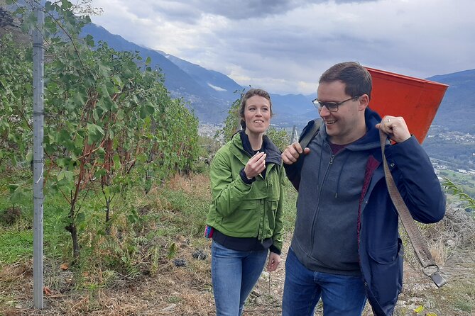 Lake Como & UNESCO Dry-stone Walls Vineyards - Wine Cellar Time: History, Cheese, and a Real Tasting Moment