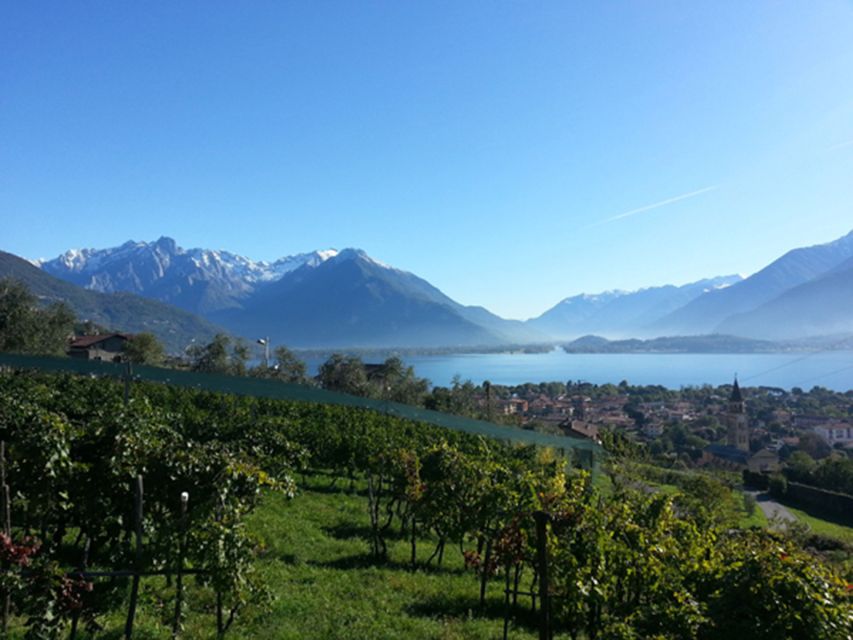 Lake Como: Winery Tour with Wine Tasting - Who this tour suits best (and who should skip it)