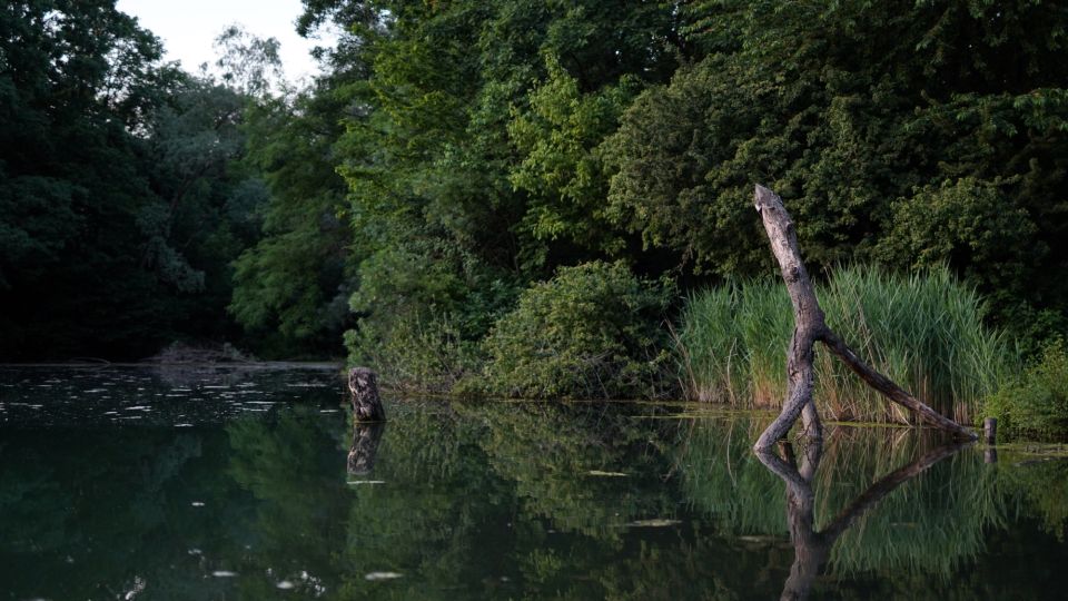 Milan: Bike Tour with Picnic on the turtle lake - Boscoincittà: The First Hour, Plus Food and a Friendly Aperitif