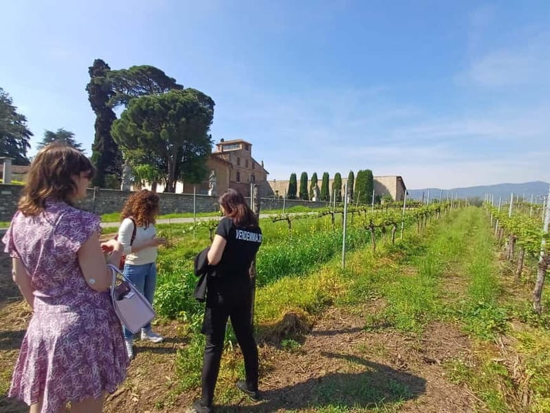Milan: Brescia & Franciacorta with Wine Tasting Small Group - The big picture: why this Milan side trip works