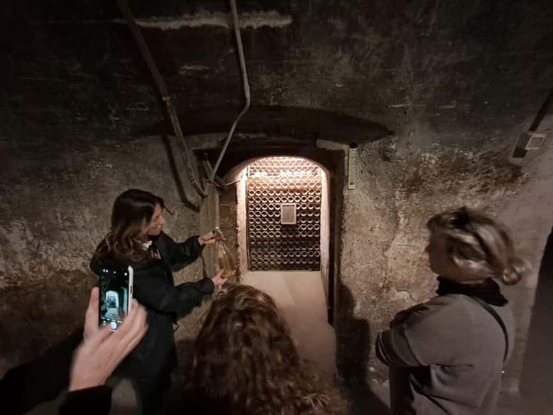 Milan: Brescia & Franciacorta with Wine Tasting Small Group - The coach segment: what you gain from the travel time