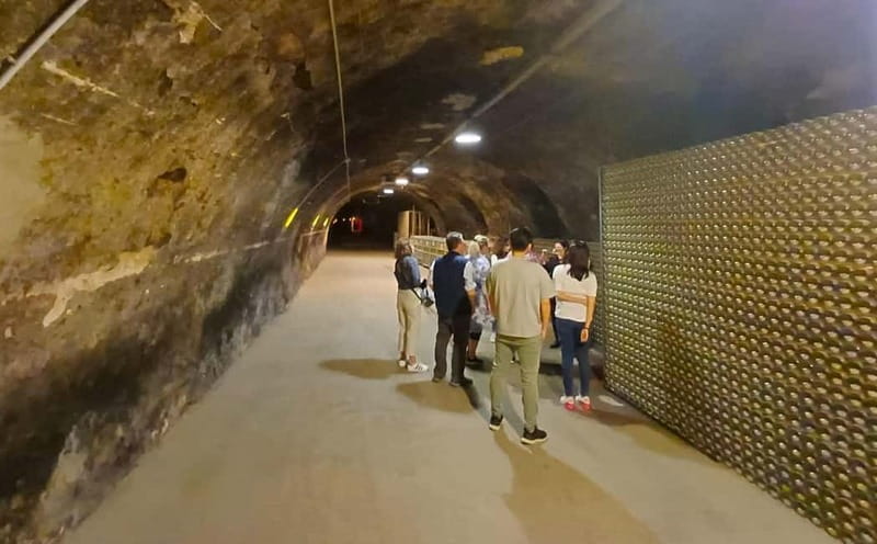 Milan: Brescia & Franciacorta with Wine Tasting Small Group - Return to Milan: drop-off and how to use the evening